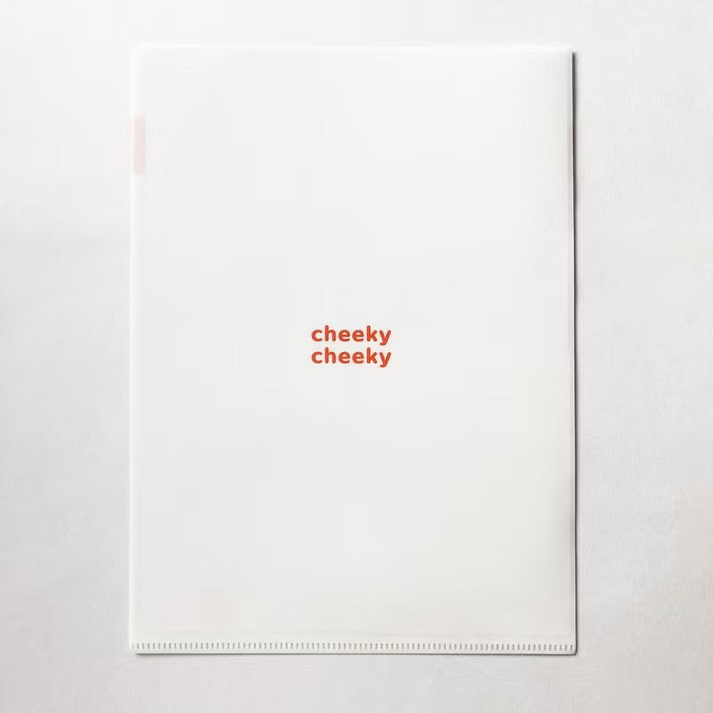 惡搞申請小一退學A4文件夾